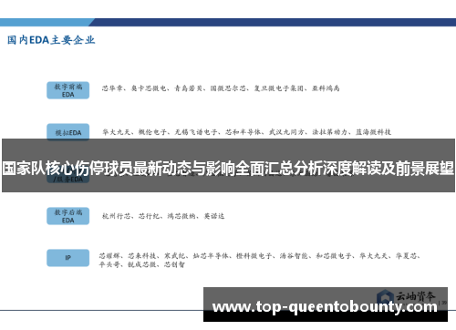 国家队核心伤停球员最新动态与影响全面汇总分析深度解读及前景展望